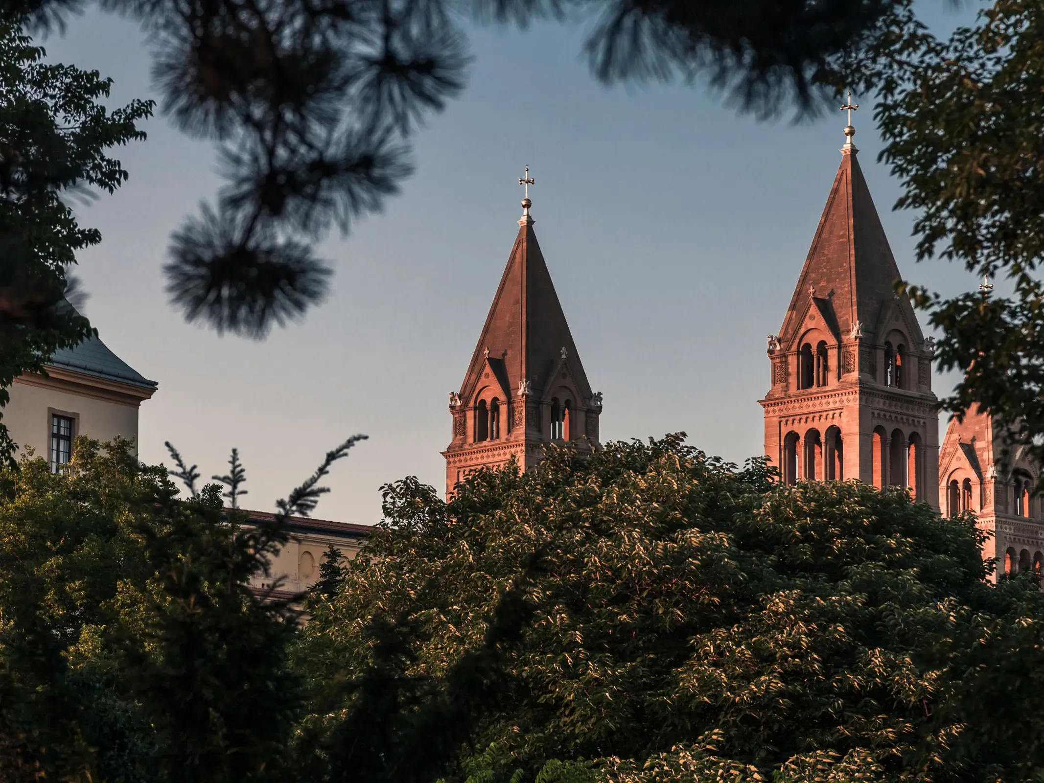 De torens van de kathedraal van Pécs in avondlicht, gezien door de bomen.