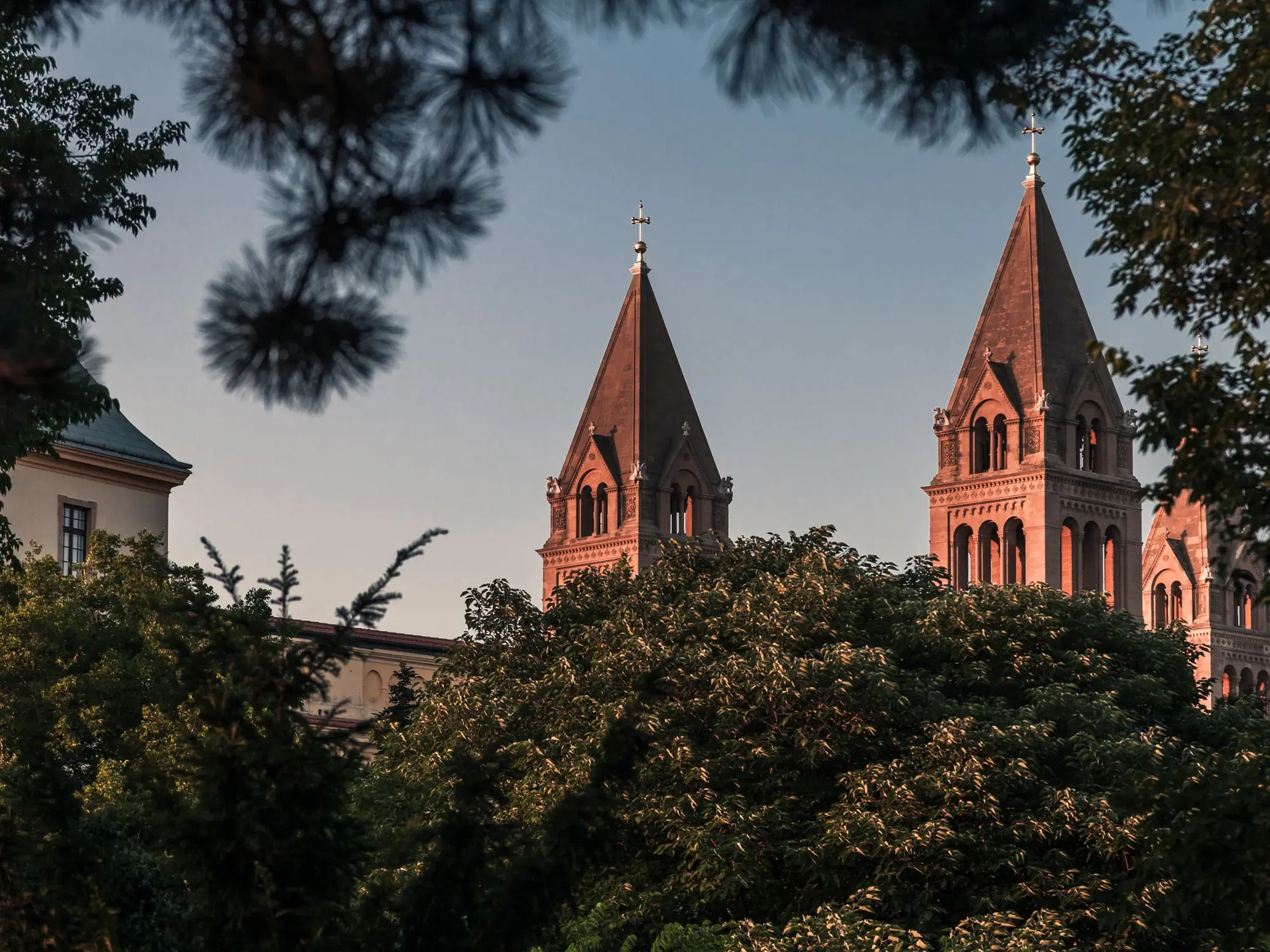 De torens van de kathedraal van Pécs in avondlicht, gezien door de bomen.